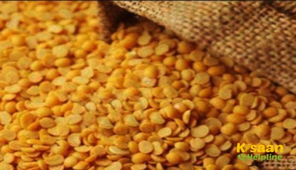 एक्स-मिल तुअर दाल की कीमतें कर्नाटक, महाराष्ट्र में 100 रुपये प्रति किलोग्राम बढ़ गयी